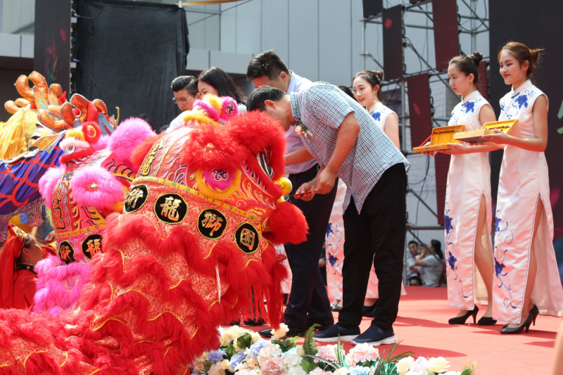 图片9