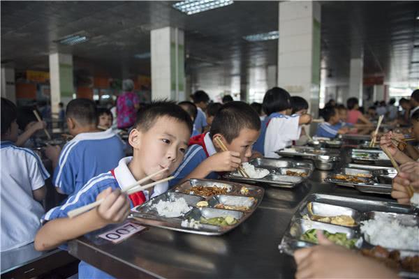 郑州市政协委员提议在小学推行午餐配餐服务