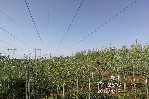 微信图片_20190417170120