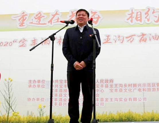 宝丰酒业董事长_宝丰酒业平面类作品(3)