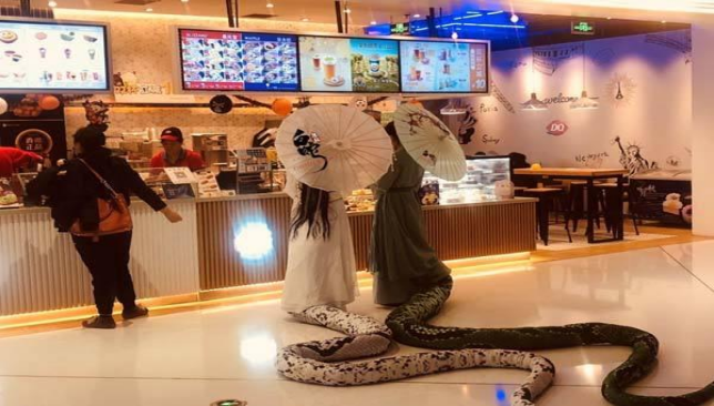 图片13