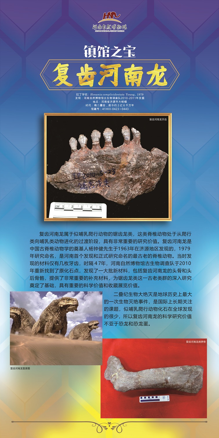 河南龙