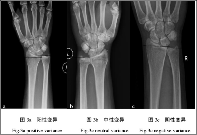 图片13