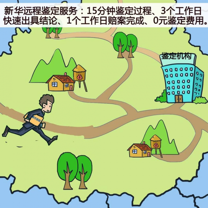 图片4