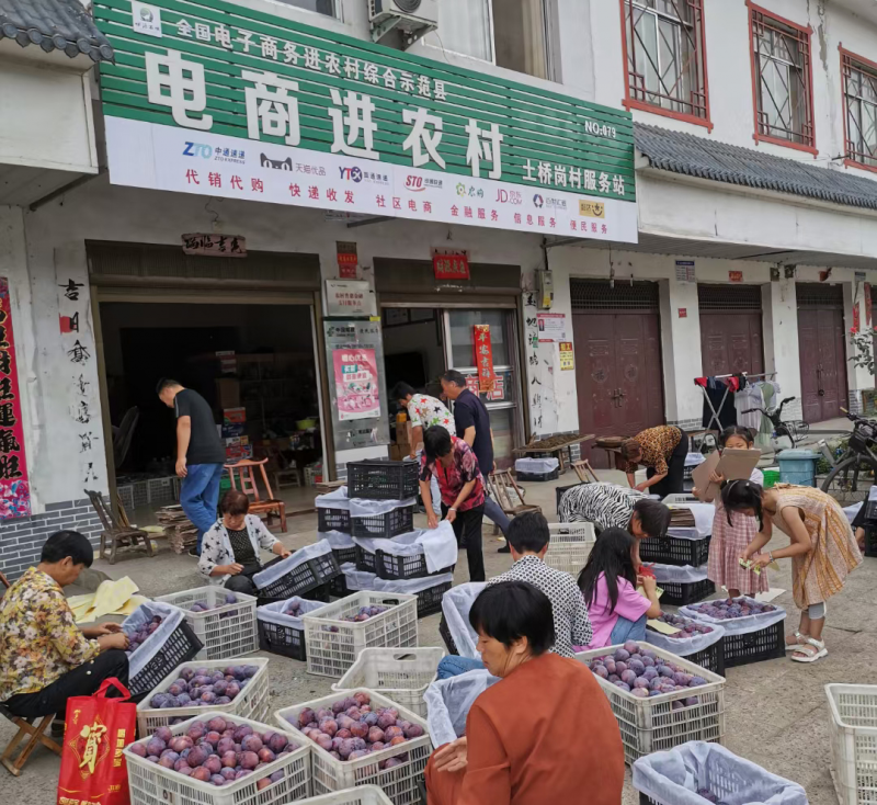 图片2