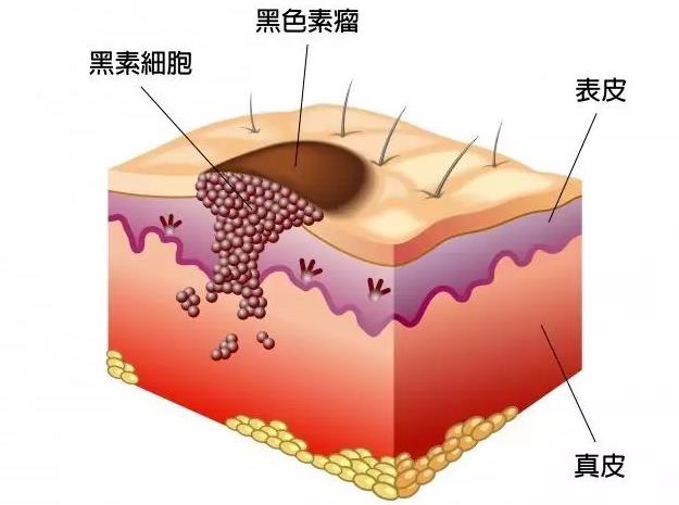 QQ浏览器截图20230510132612