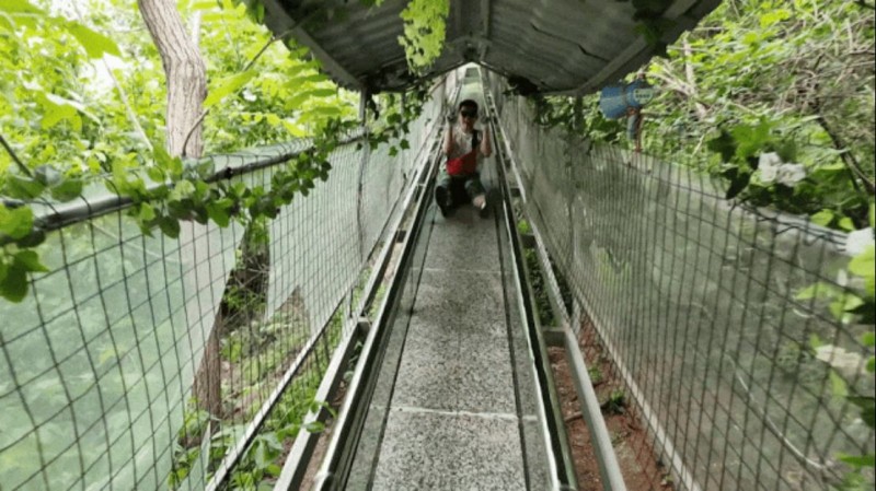 奔赴山野,向幸福出发!阿五人的度假旅游有多快乐552