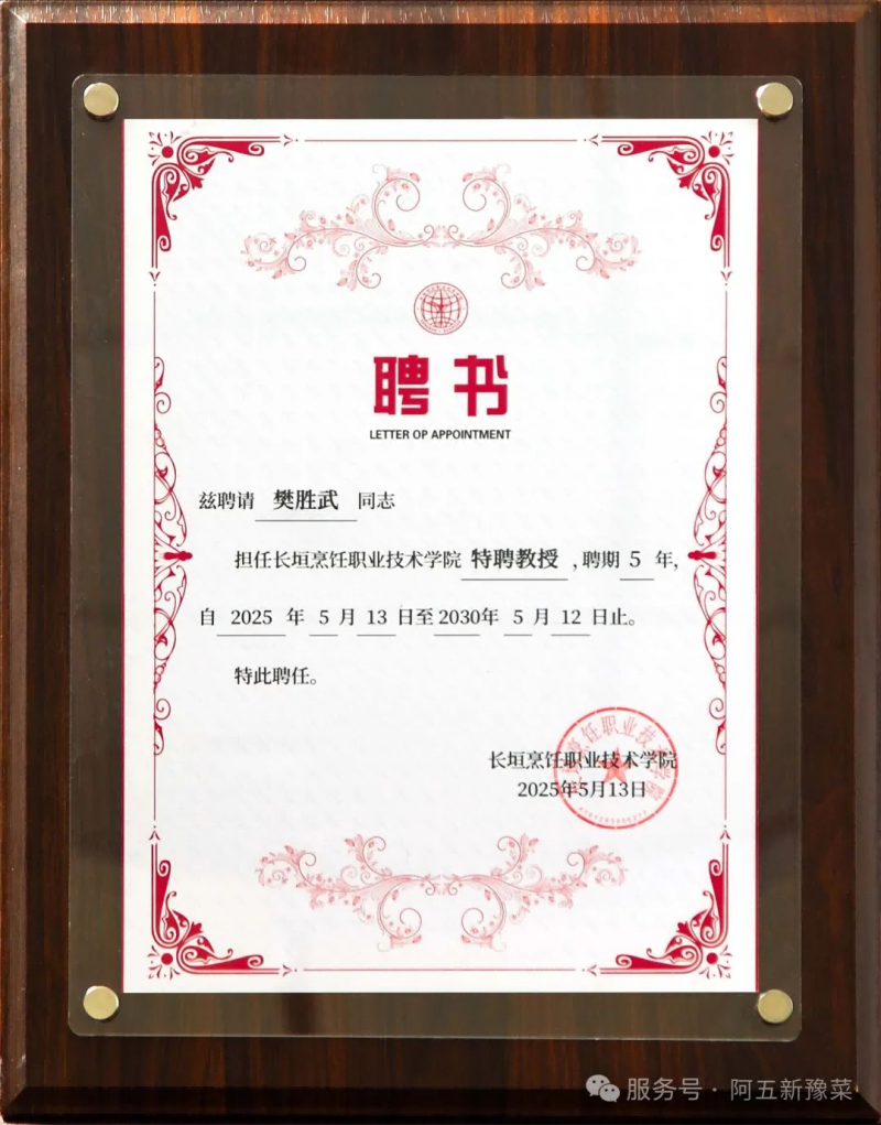 图片 11
