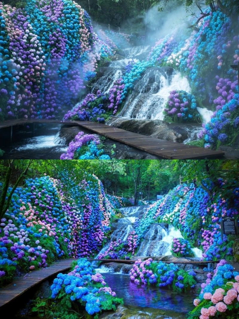 图片 1