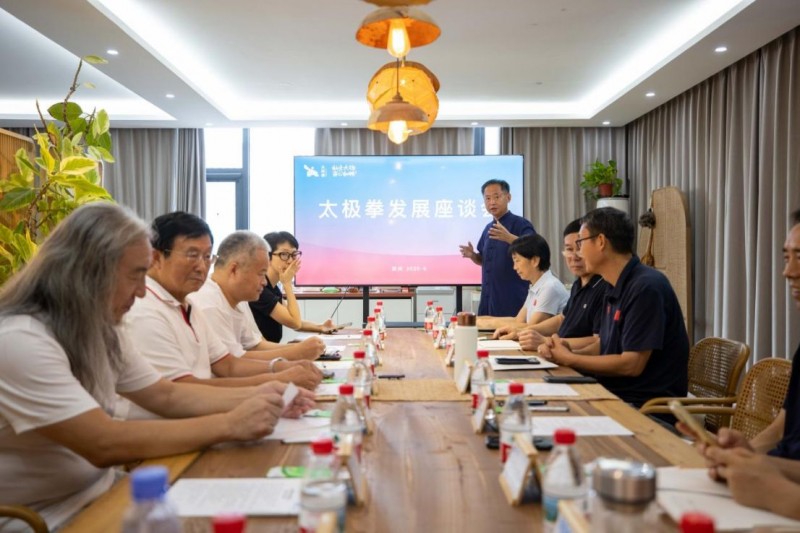 年轻时尚,未来超潮!太极拳座谈会大咖齐聚开聊(8)203