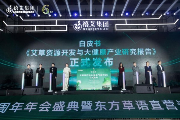 10.20 禧艾集团稿件(定稿)915