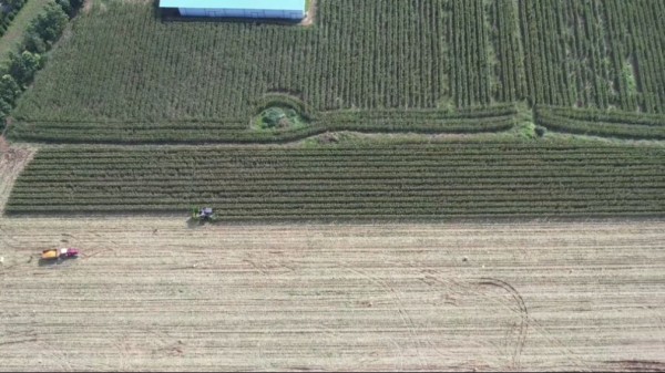 河南多地多举措守护秋粮安全299