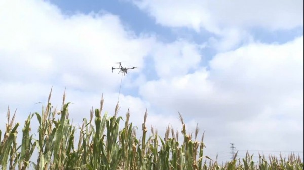 河南多地多举措守护秋粮安全2205