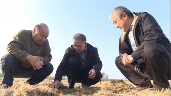 河南多地多举措守护秋粮安全2434