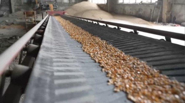 河南多地多举措守护秋粮安全2561