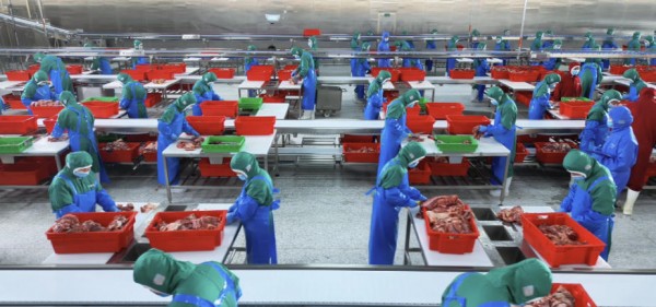 ScreenShot_2025-11-05_122739_284