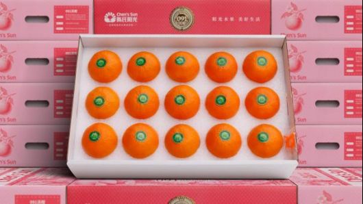 顶端推文：新闻通稿02111137