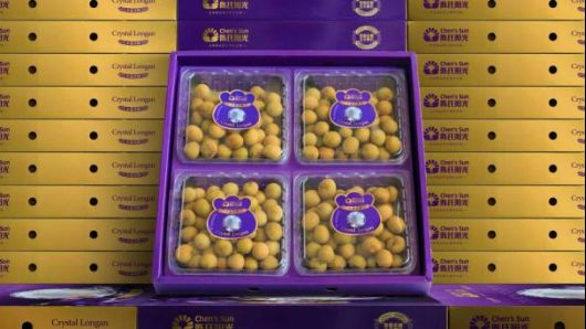 顶端推文：新闻通稿02111138