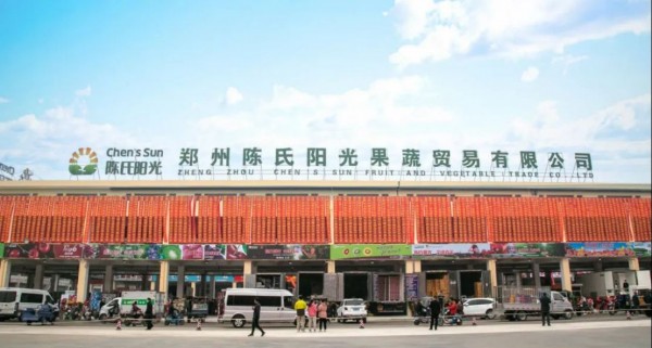 407-陈氏阳光凤梨新闻稿-定稿(2)950