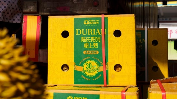 图片 5