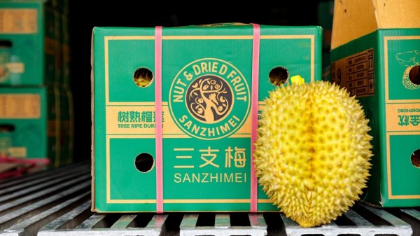 图片 6