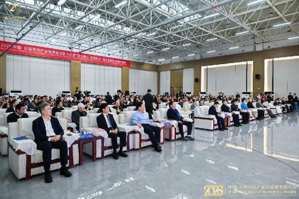 阿五11