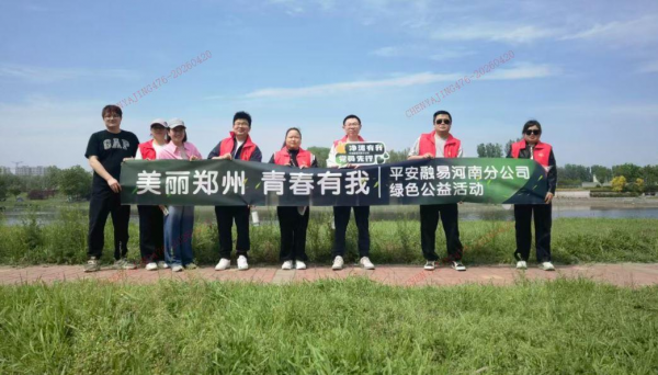 河南分公司