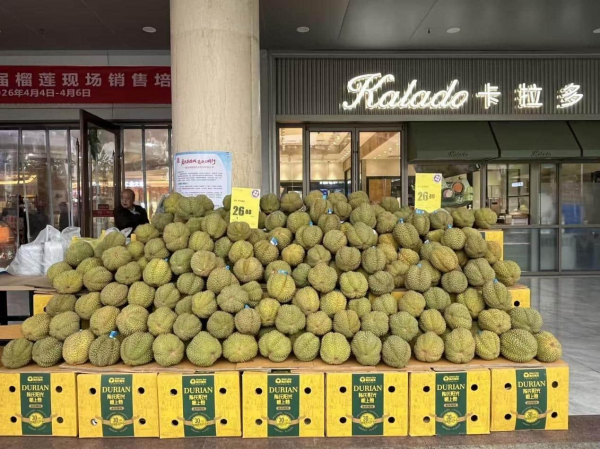 陈氏7